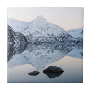 Azulejo Lago Portage Reflectivo