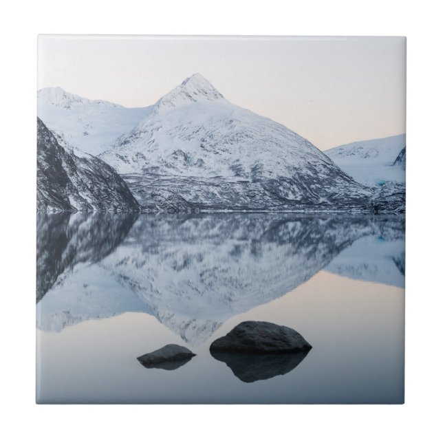 Azulejo Lago Portage Reflectivo (Frente)
