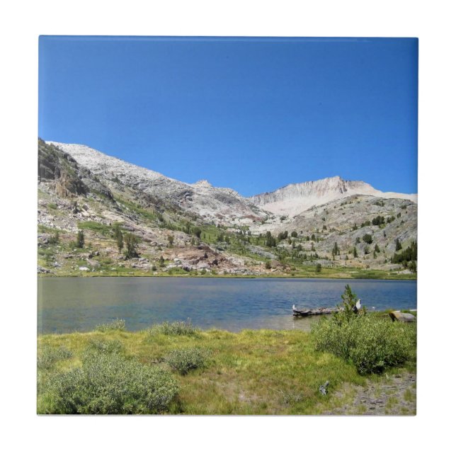 Azulejo Lago Shell, Paso Tioga, California (Frente)