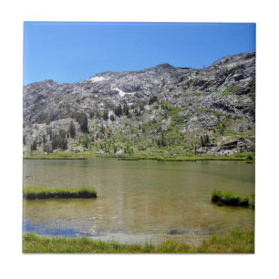 Azulejo Lago Shell, Paso Tioga, California