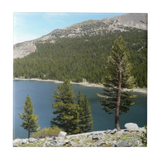 Azulejo Lago Tenaya en el Parque Nacional Yosemite
