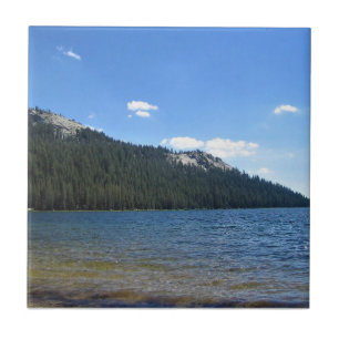 Azulejo Lago Tenaya, Parque Nacional Yosemite, CA