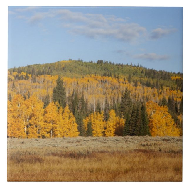 Azulejo Lambert Hollow, álamos (Frente)