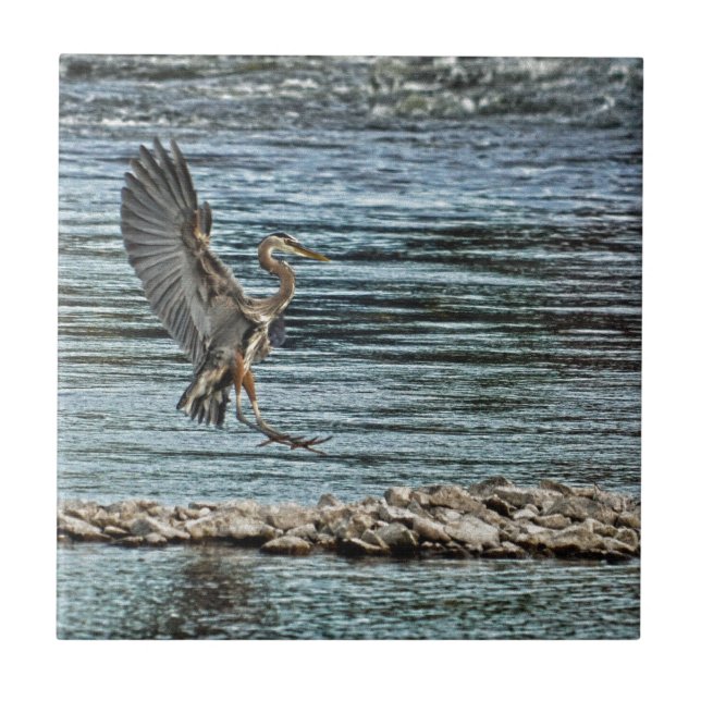 Azulejo Landing Great Blue Heron Wildlife Birdlover Design (Frente)