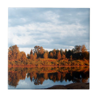 Azulejo lapland-1391