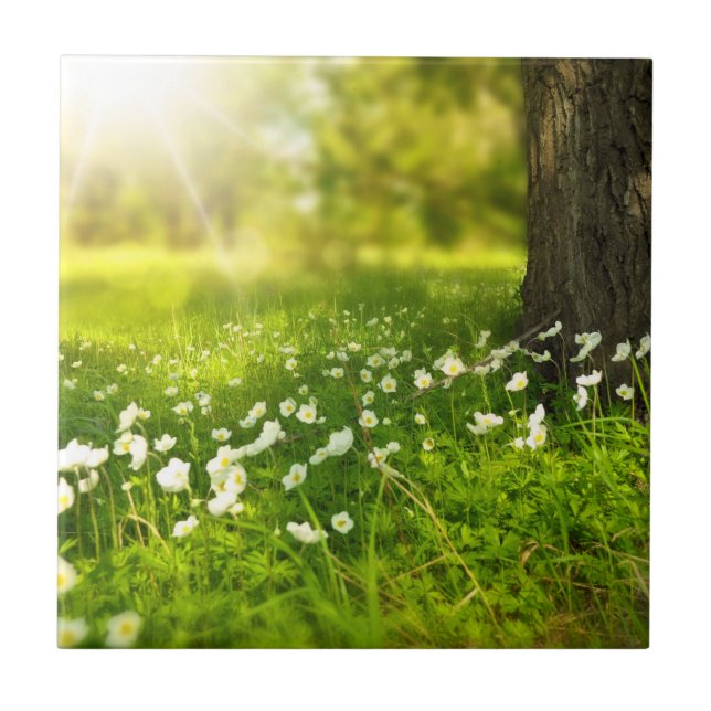 Azulejo Las alegrías de la primavera (Frente)