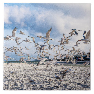 Azulejo Las aves se disparan