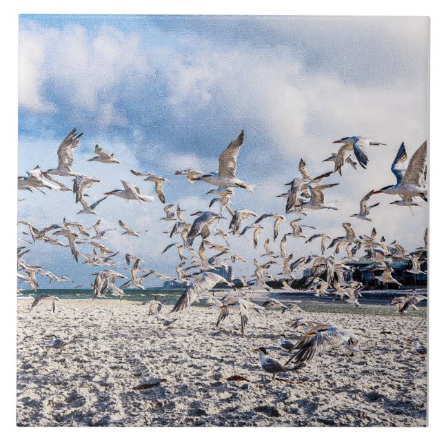 Azulejo Las aves se disparan (Frente)