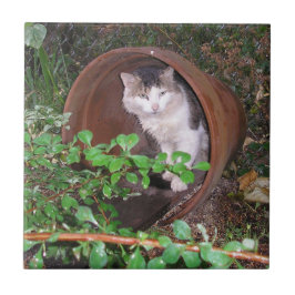 Azulejo ¡Las Caídas De Lluvia Siguen Cayendo Sobre Mi Cabe