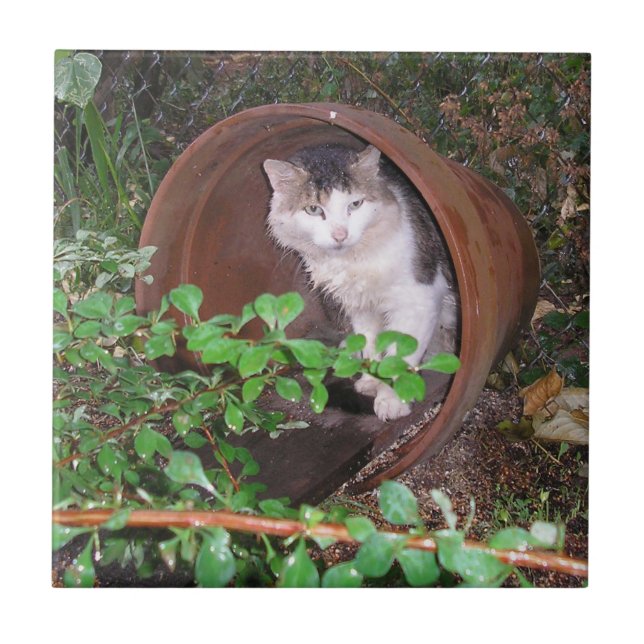 Azulejo ¡Las Caídas De Lluvia Siguen Cayendo Sobre Mi Cabe (Frente)