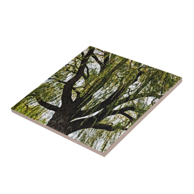 Azulejo las esperanzas de primavera apagadas (Lado)