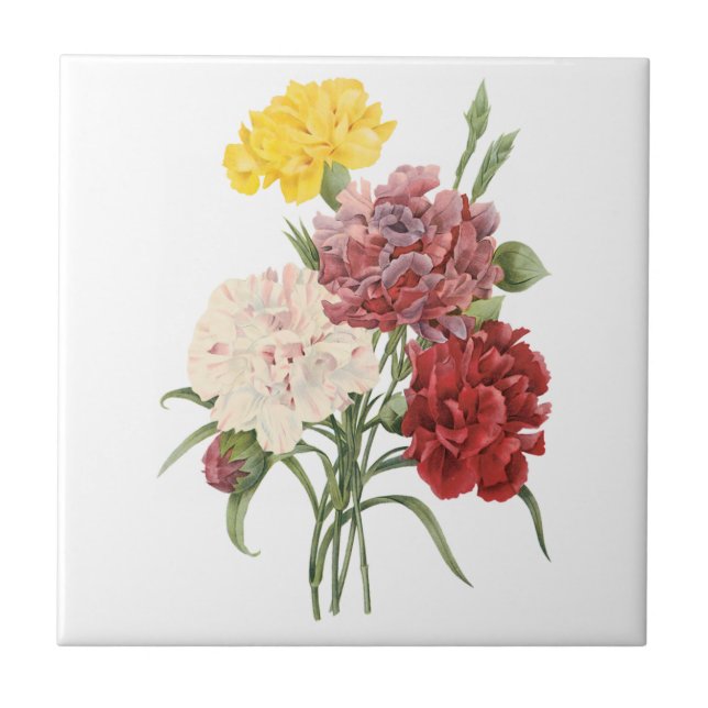 Azulejo Las flores de los jardines de Dianthus Redoute (Frente)