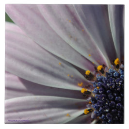 Azulejo Las flores en el interior