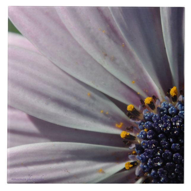 Azulejo Las flores en el interior (Frente)