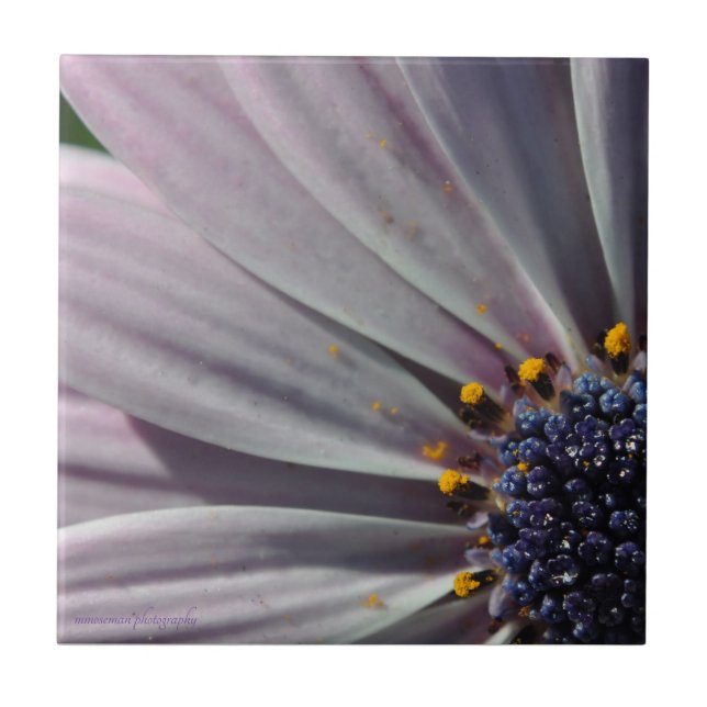 Azulejo Las flores en el interior (Frente)