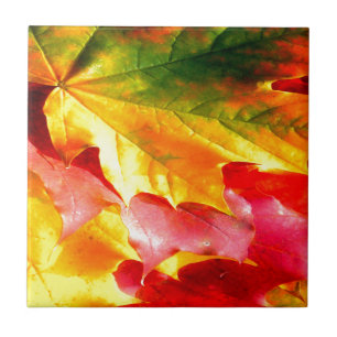 Azulejo Las hojas de otoño lo personalizan amarillo, rojo,