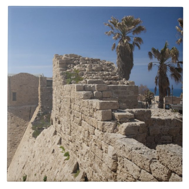 Azulejo Las ruinas de la zona del mar construidas por Hero (Frente)