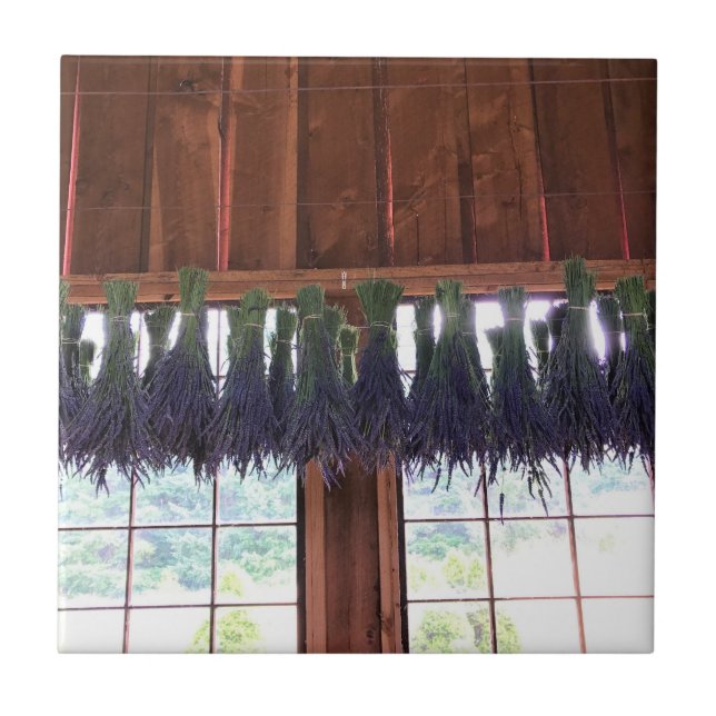 Azulejo Lavanda colgando en un granero (Frente)