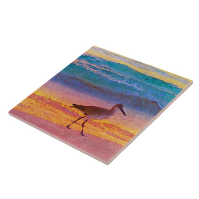 Azulejo lavandera en la playa en la puesta del sol (Lado)