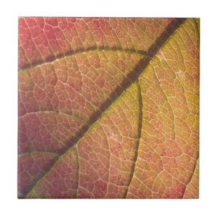 Azulejo Leaf Amarillo Y Rojo