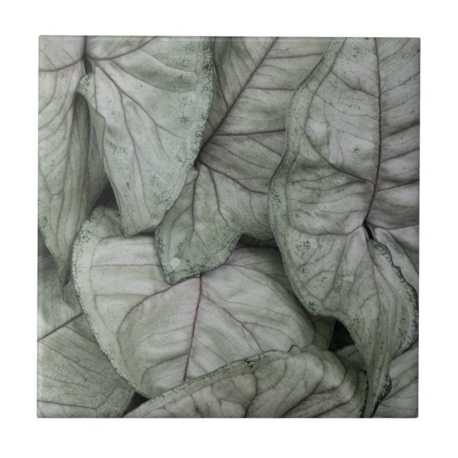Azulejo Leaf Print (Frente)