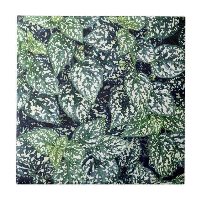 Azulejo Leaf Print (Frente)