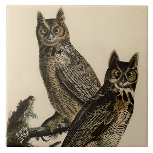 Azulejo Lechuzas de cuerno grande (por John James Audubon) (Frente)
