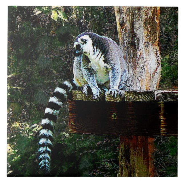 Azulejo Lemur con cola de anillo (Frente)