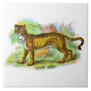 Azulejo Leña Vintada O Ilustracion Animal De Tigre León