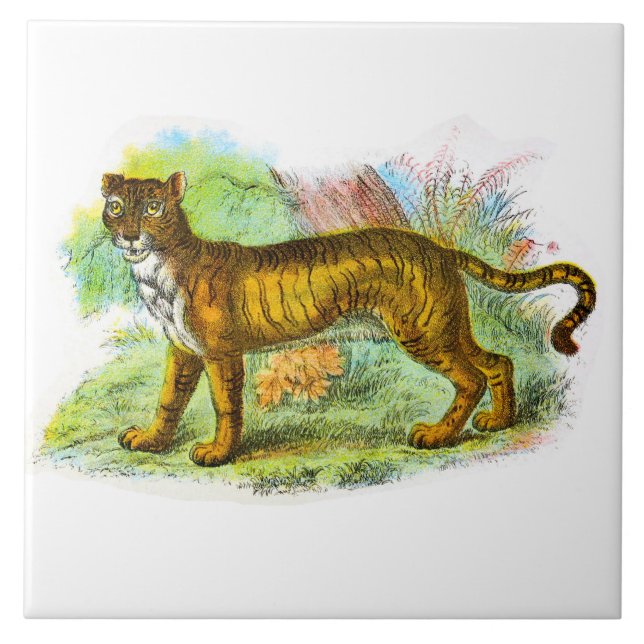 Azulejo Leña Vintada O Ilustracion Animal De Tigre León (Frente)