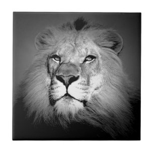 Azulejo León blanco y negro
