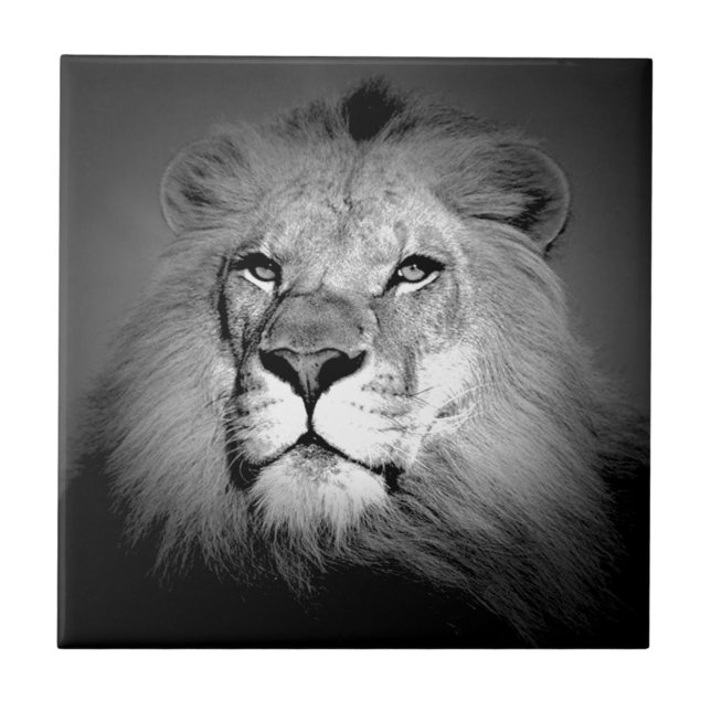 Azulejo León blanco y negro (Frente)