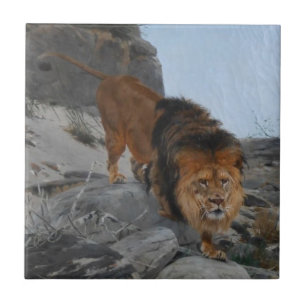 Azulejo León en las montañas (por Richard Friese)