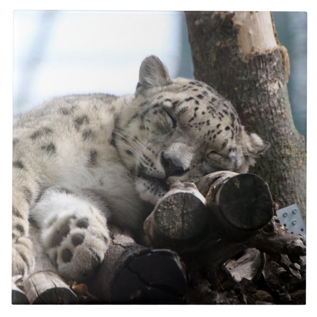 Azulejo Leopard 002 (Frente)