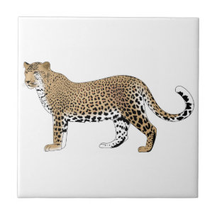 Azulejo Leopardo