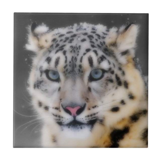 Azulejo Leopardo de la nieve (Frente)