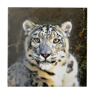 Azulejo Leopardo de la nieve