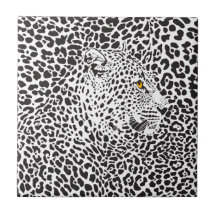 Leopardo negro en puntos