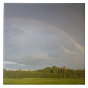 Azulejo Letonia, Noreste de Letonia, Región de Vidzeme, 5