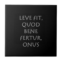 Leve fit quod bene fertur onus