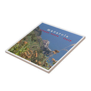 Azulejo LGR011 MANAROLA - Cinque Terre - Italia -
