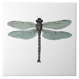 Azulejo libélula vintage anticuada