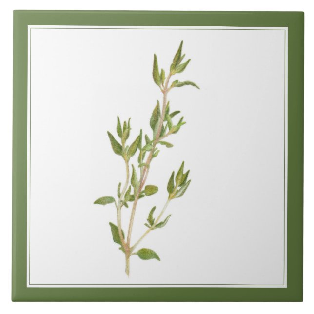 Azulejo LIBRE TIEMPO 6x6 Tile cerámico (-texto) Verde (Frente)