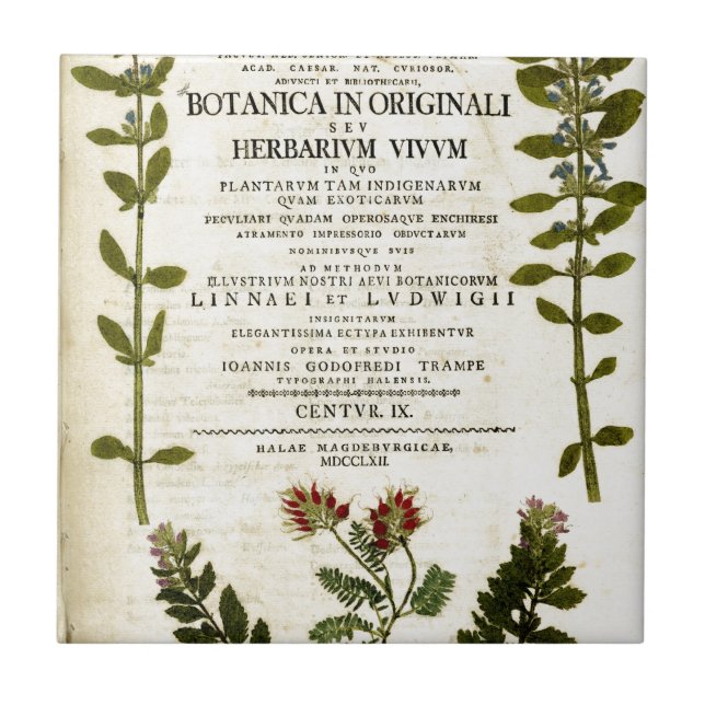 Azulejo Libro de Botánica Antiguo (Frente)