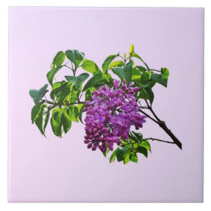 Azulejo Lilas que se abren