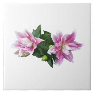 Azulejo Lilicillas orientales Stargazer