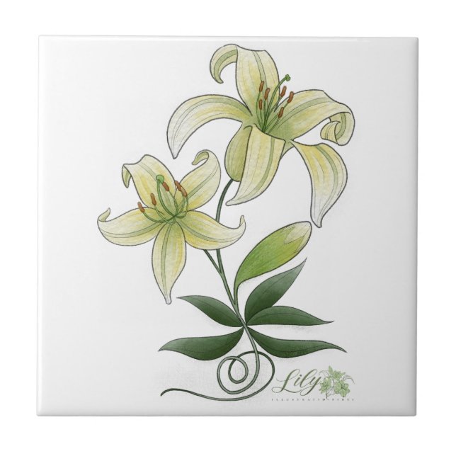 Azulejo Lilies (Frente)