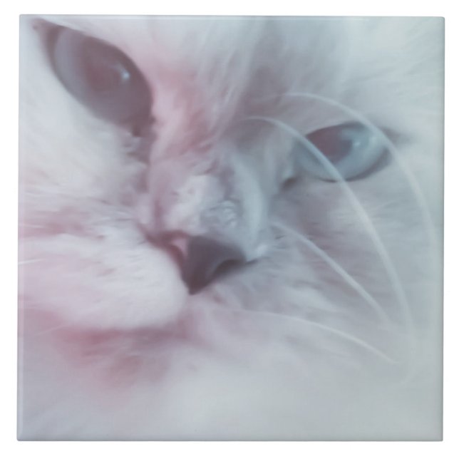 Azulejo Lilly (Frente)