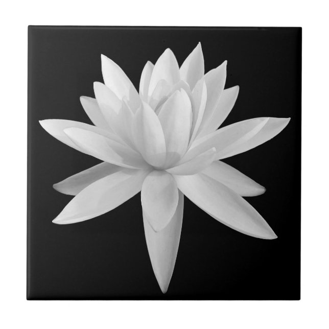 Azulejo Lily Lotus: fotografía de Bella Artes blanco y neg (Frente)