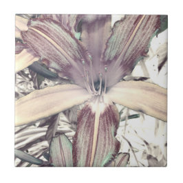 Azulejo Lily Love